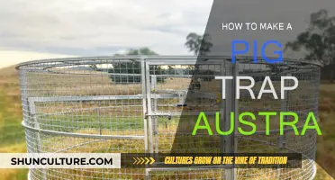 Creating a Pig Trap in Australia: A Step-by-Step Guide