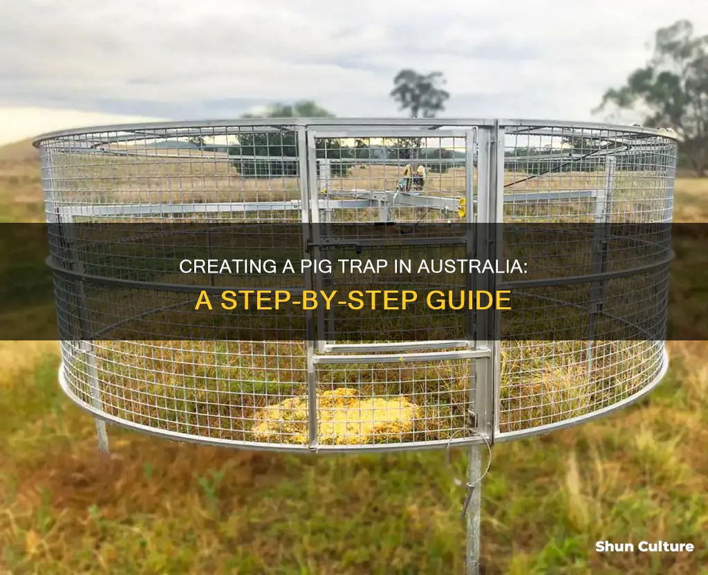 how to make a pig trap australia