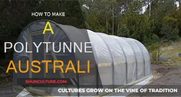 Constructing a Polytunnel in Australia: A DIY Guide