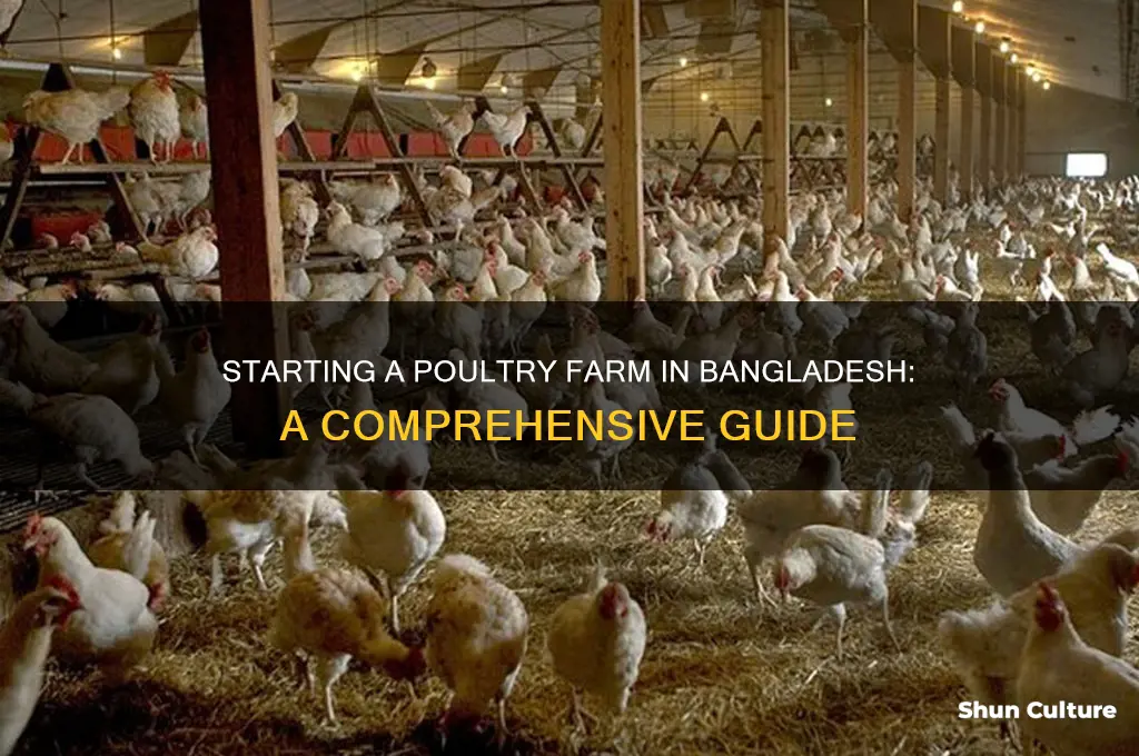 how to make a poultry farm in bangladesh