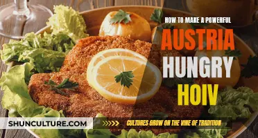 Unleash Your Inner Chef: Mastering the Austria-Hungry Hoiv Experience