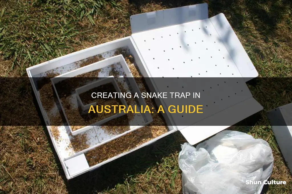how to make a snake trap australia