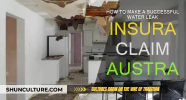 Water Leak Insurance Claims: Australia's Guide to Success