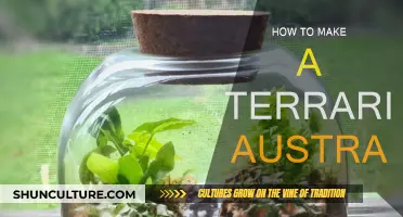 Creating a Terrarium: A Guide for Australians