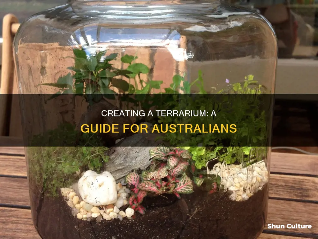 how to make a terrarium australia