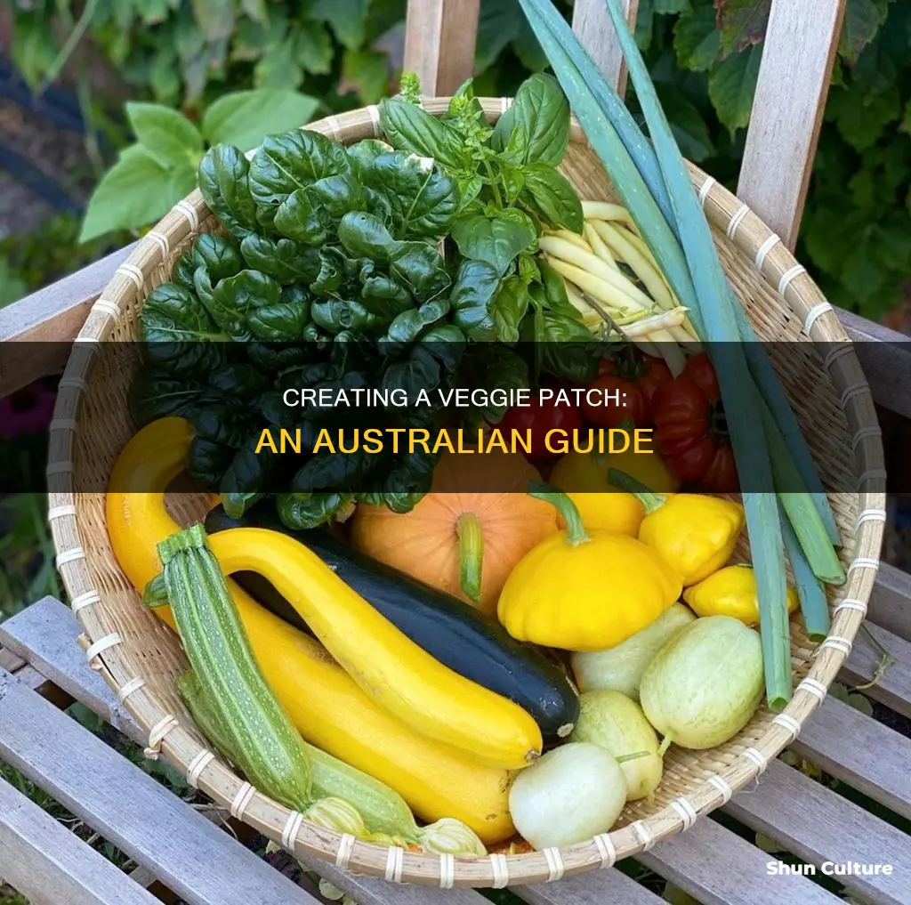how to make a veggie patch australia