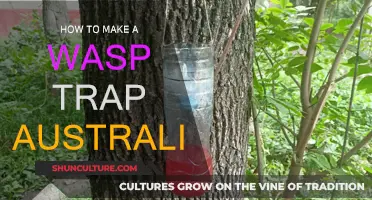 Wasp Trapping: An Effective DIY Solution for Australian Summers