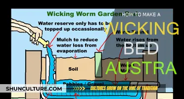 Creating a Self-Watering Garden: Wicking Beds in Australia