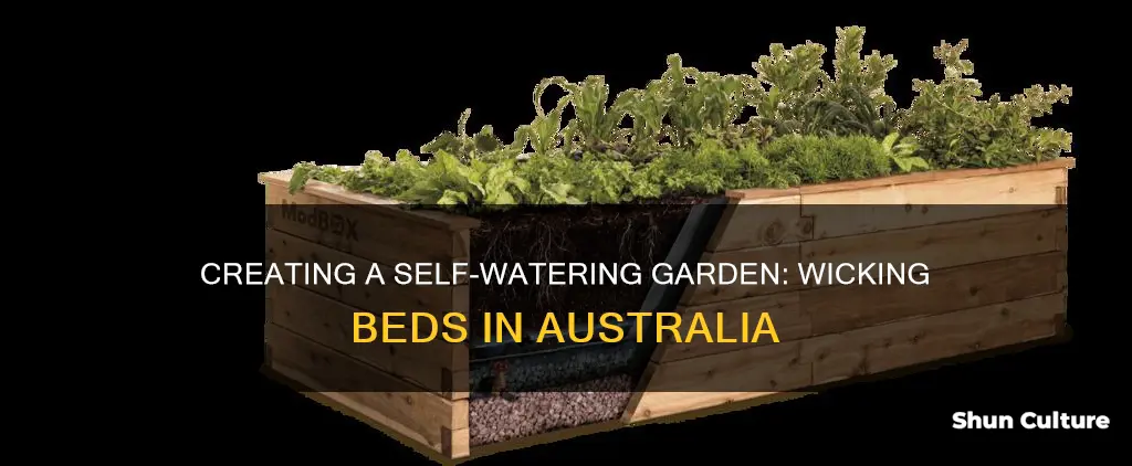 how to make a wicking bed australia
