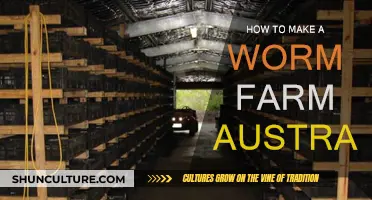 Creating a Worm Farm: An Australian Guide