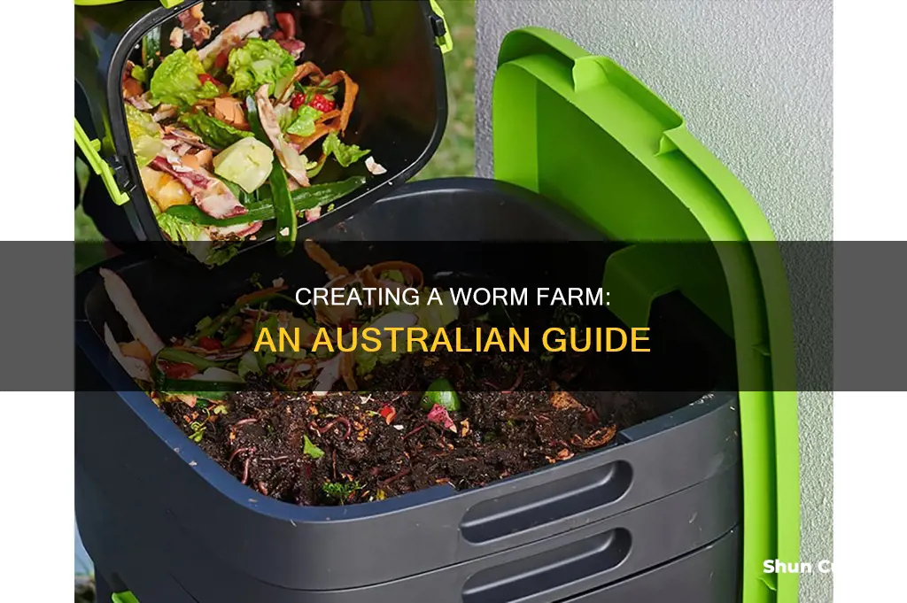 how to make a worm farm australia