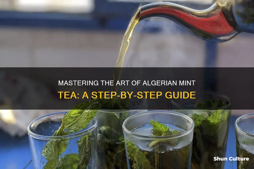 how to make algerian mint tea