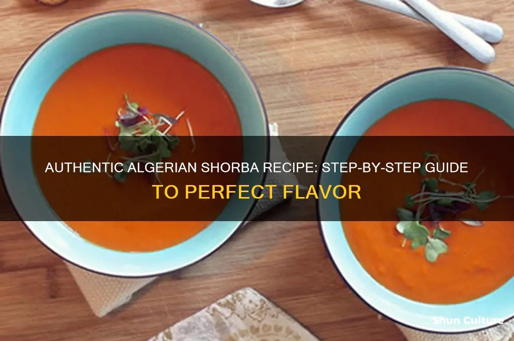how to make algerian shorba