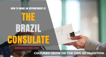 Step-by-Step Guide to Booking Your Brazil Consulate Appointment