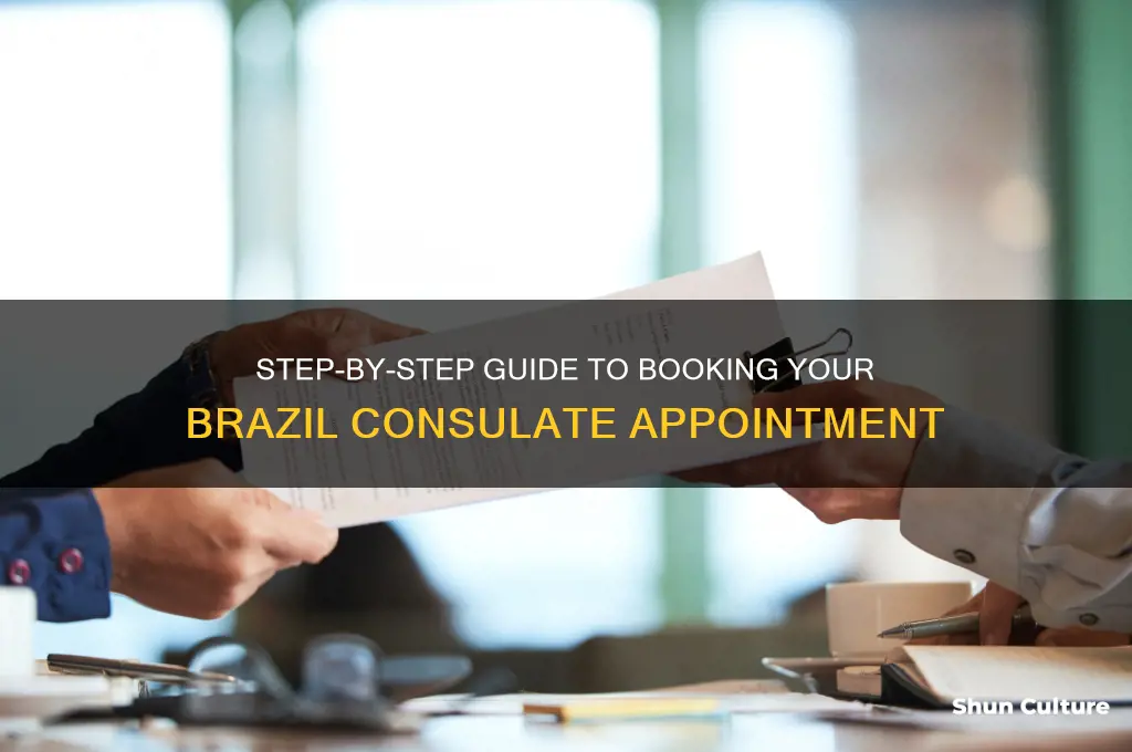 how to make an appointment at the brazil consulate