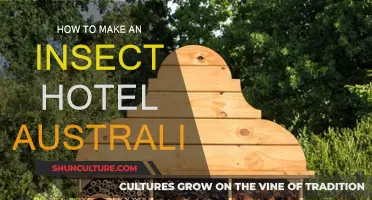 Creating Insect Hotels: An Australian Guide