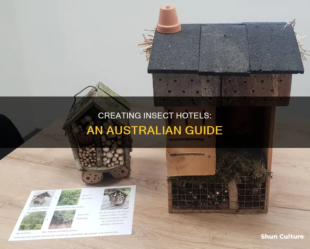 how to make an insect hotel australia