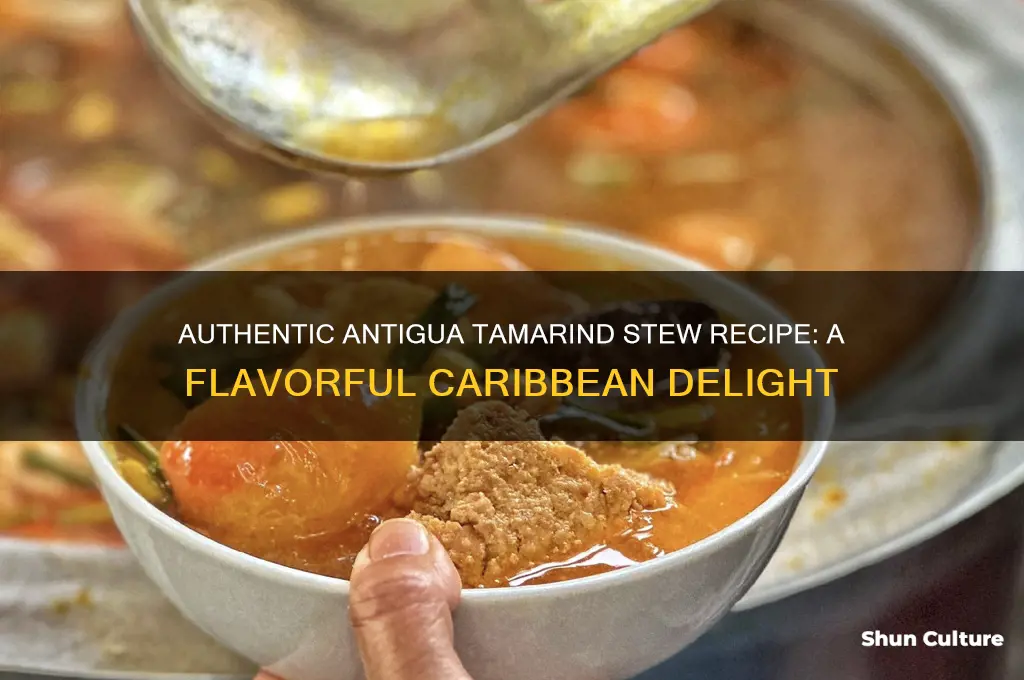 how to make antigua tamarind stew