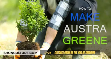 Greening Australia: Steps to a Brighter Future