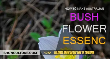 Creating Australian Bush Flower Essences: A Beginner's Guide