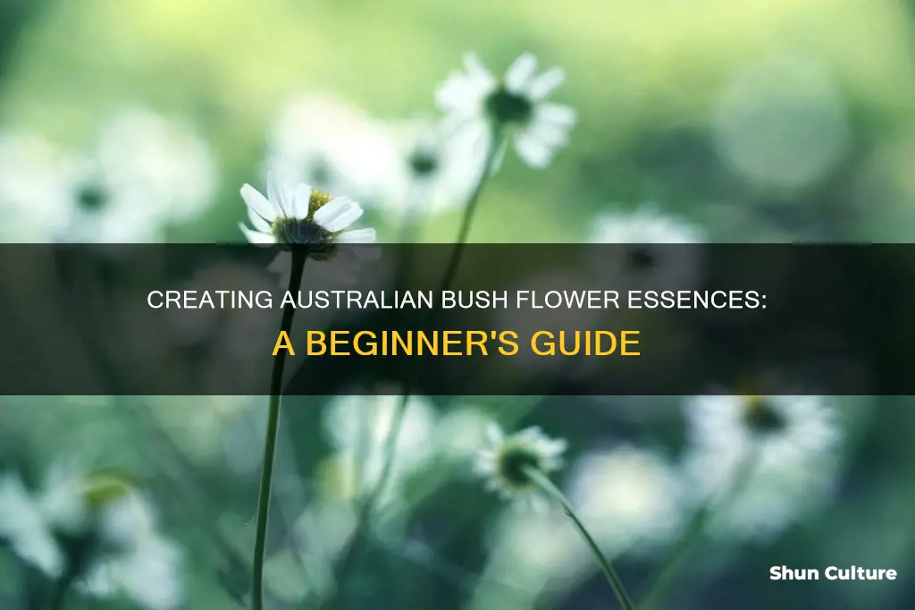how to make australian bush flower essences