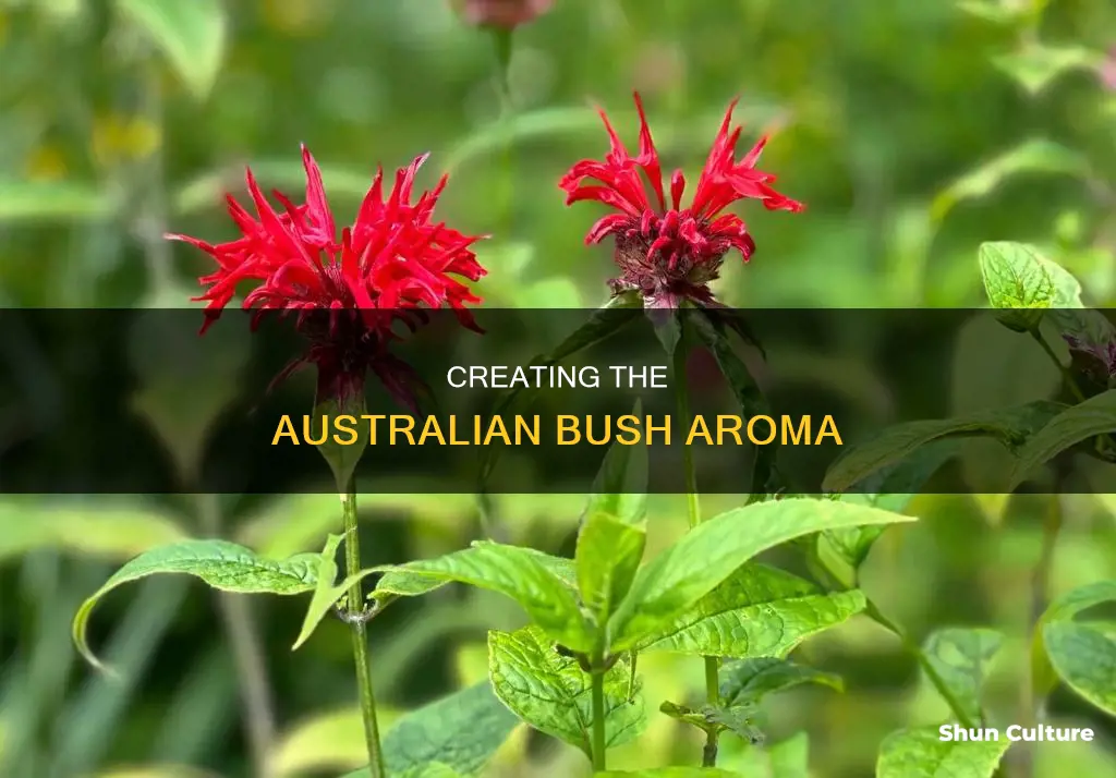 how to make australian bush scent