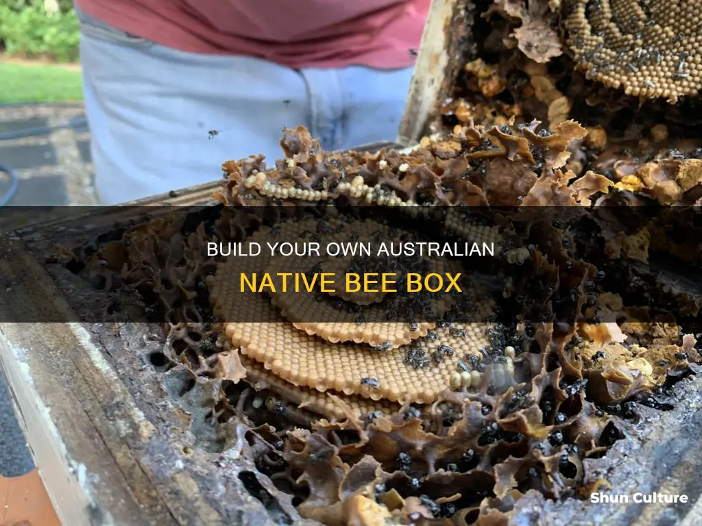 how to make australian native bee box