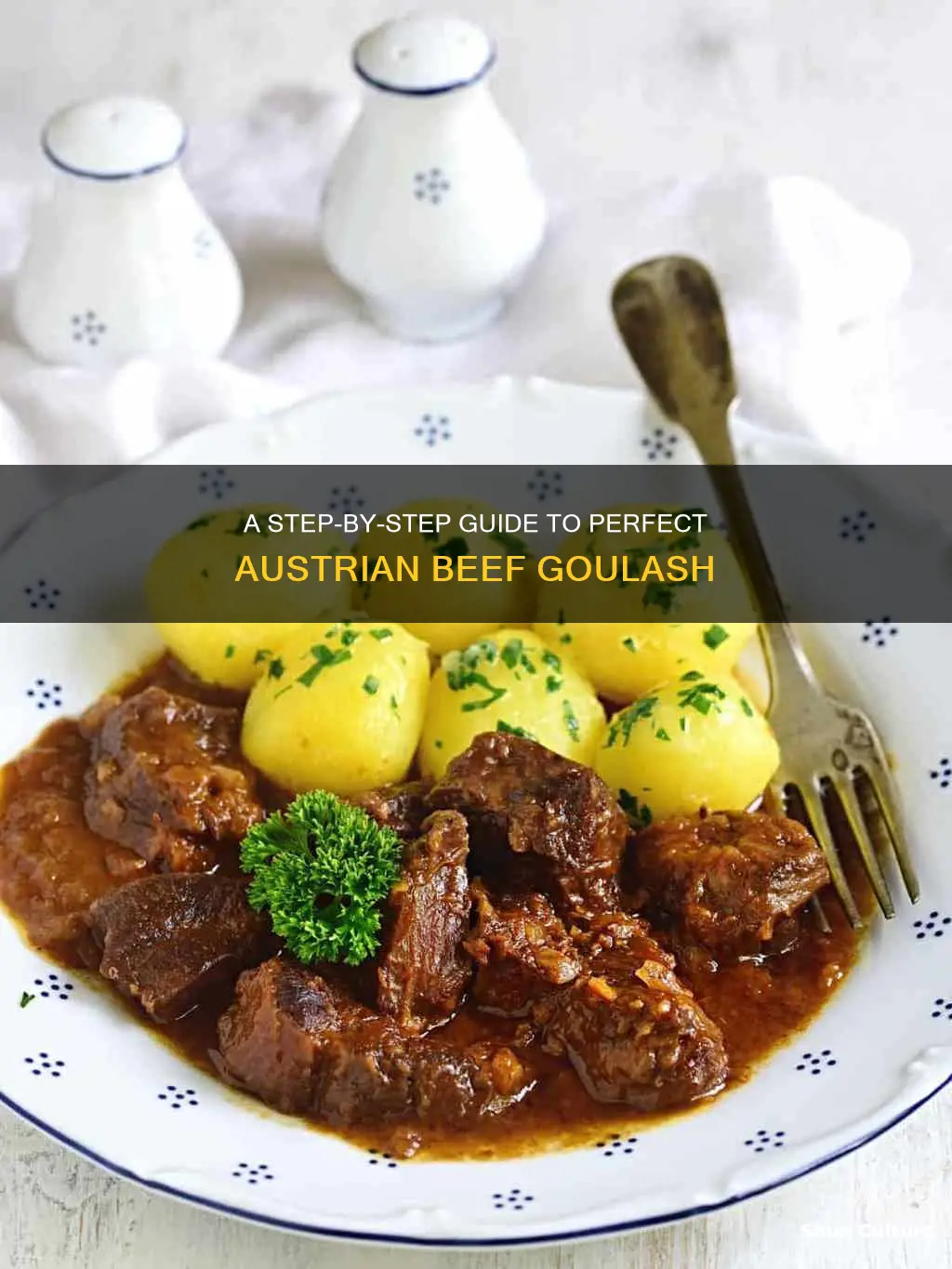 how to make austrian beef goulash