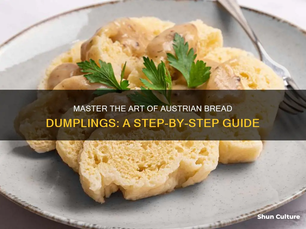 how to make austrian bread dumplings