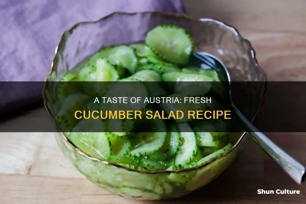 how to make austrian cucumber salad