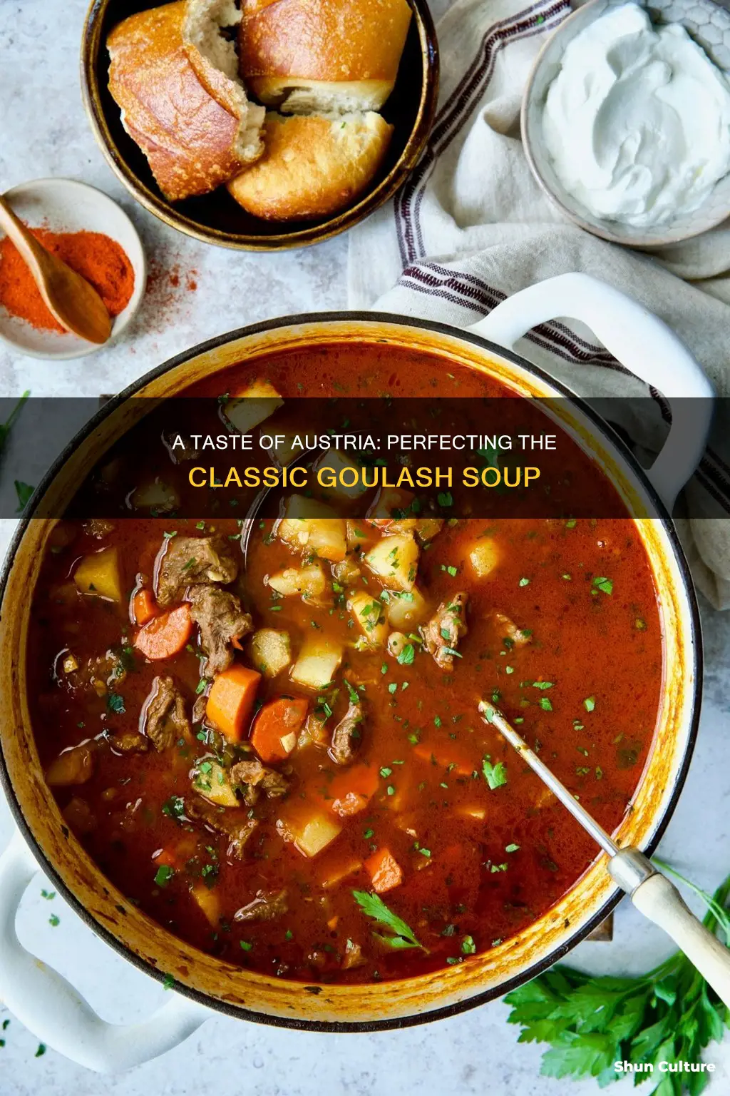 how to make austrian goulash soup