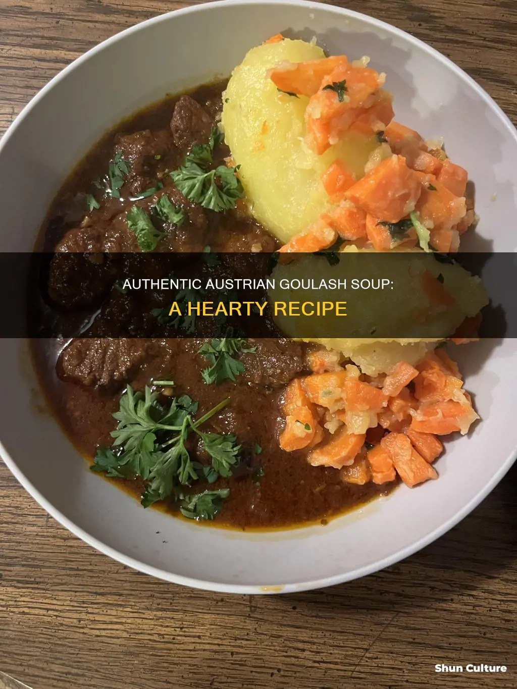 how to make austrian goulash soup