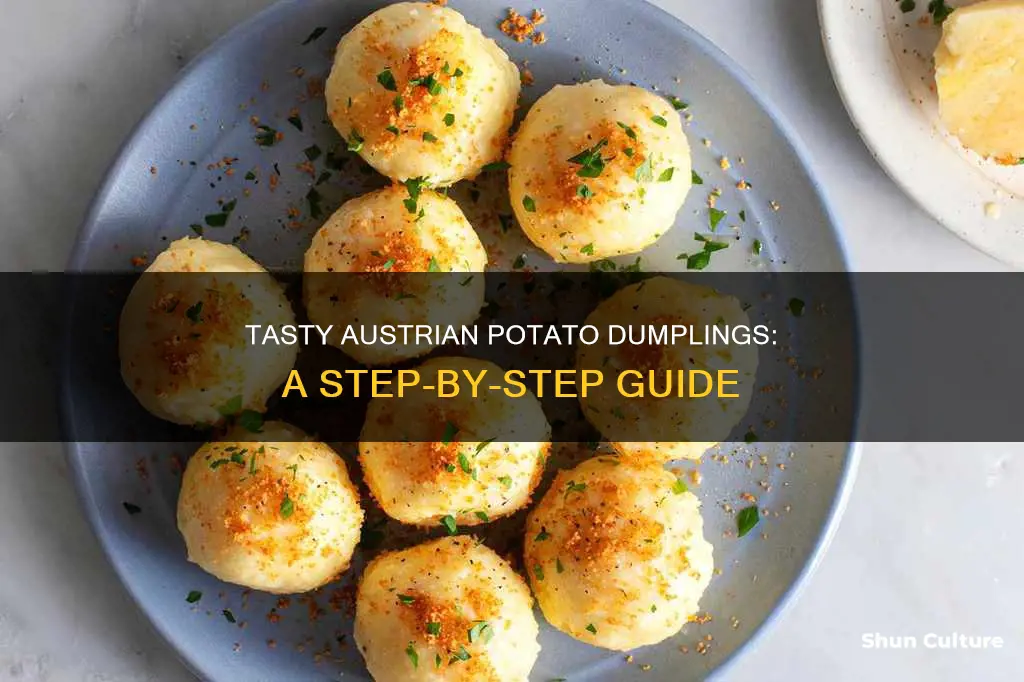 how to make austrian potato dumplings