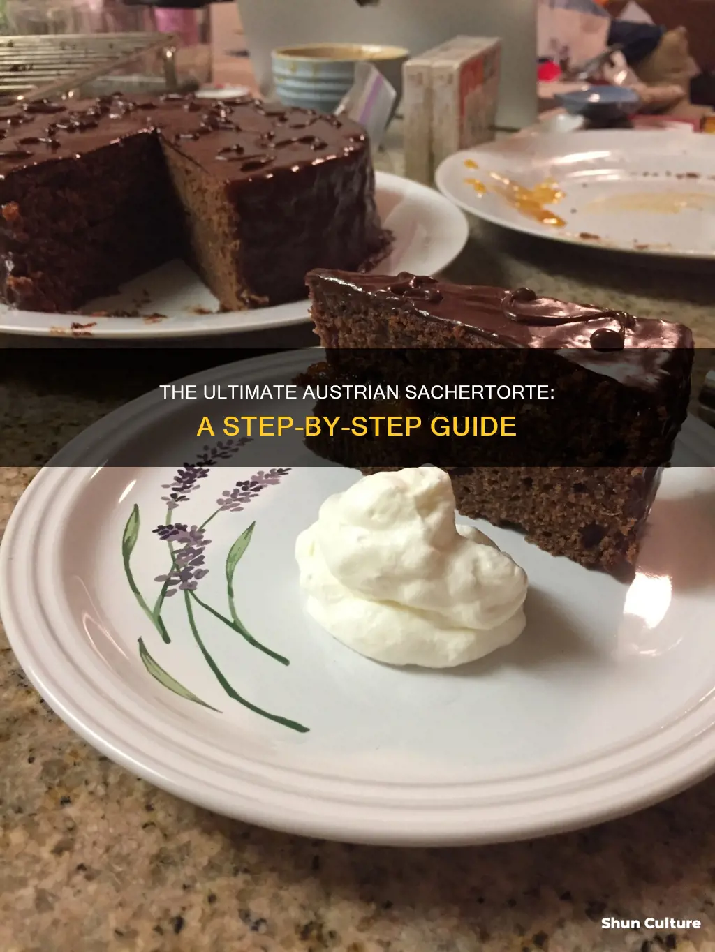 how to make austrian sachertorte