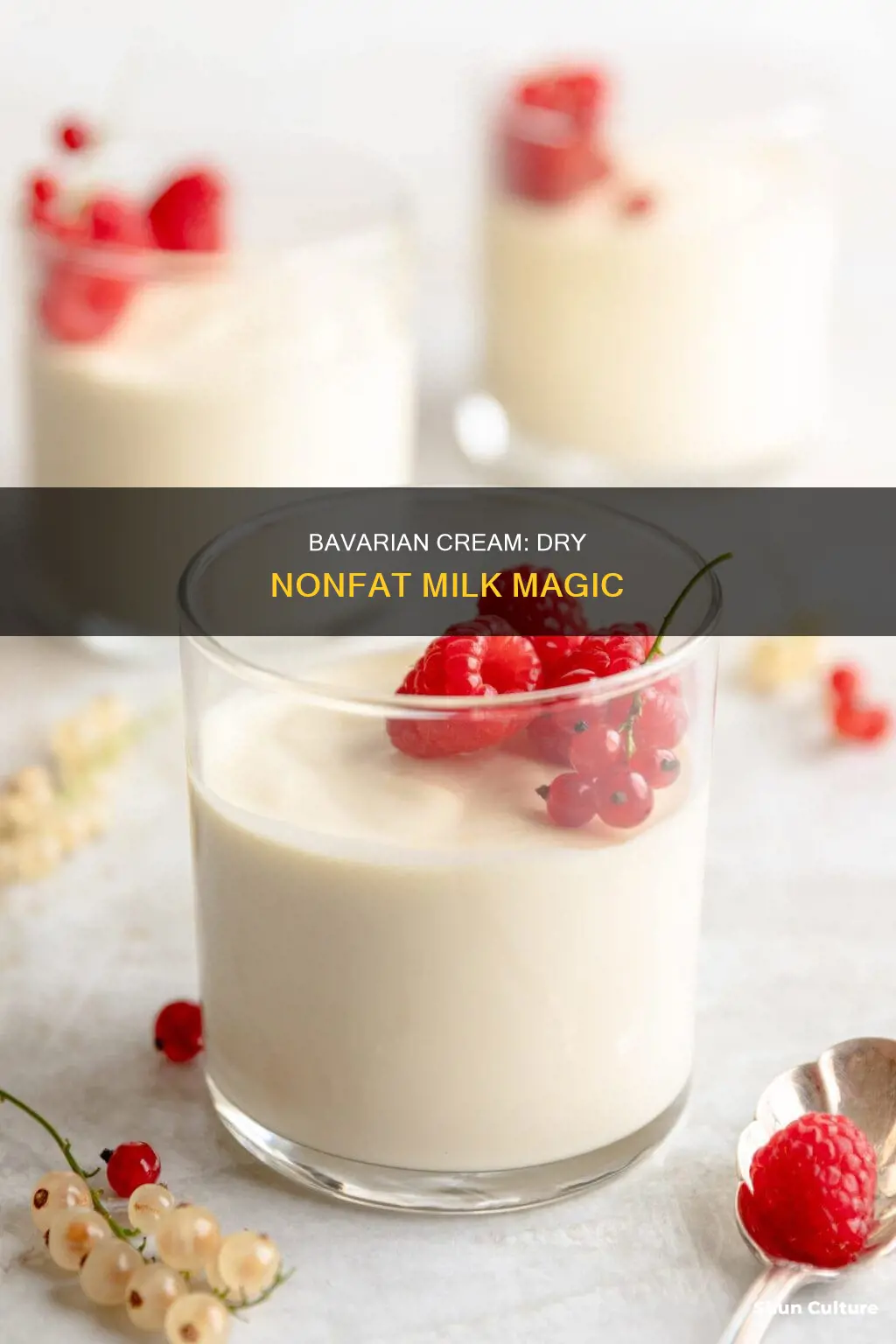 how to make bavarian cream with dry nonfat milk