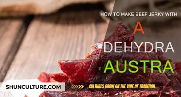 Make Beef Jerky at Home: Dehydrator Guide