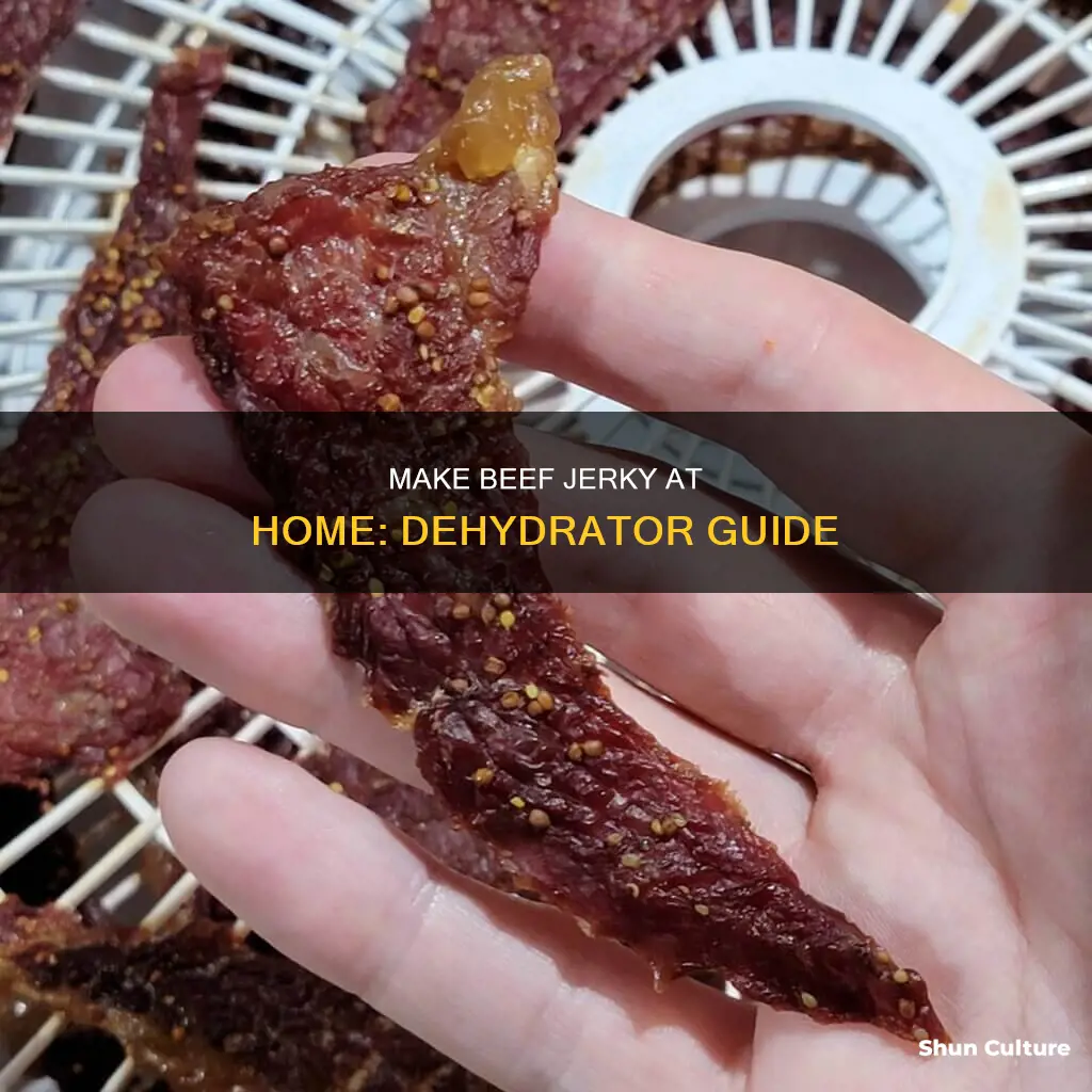 how to make beef jerky with a dehydrator australia