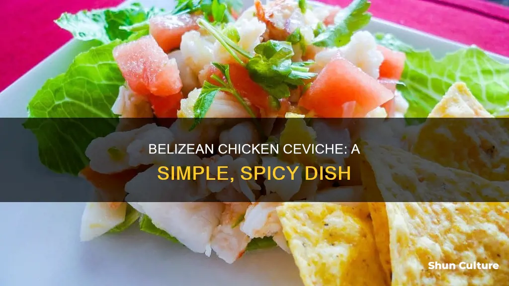 how to make belizean chicken ceviche