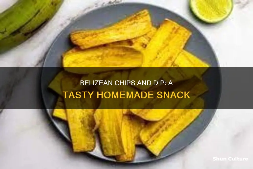 how to make belizean chips and dip