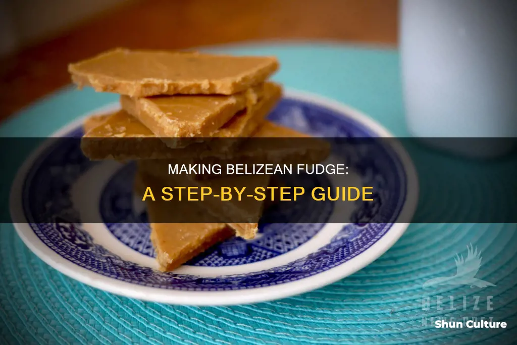 how to make belizean fudge