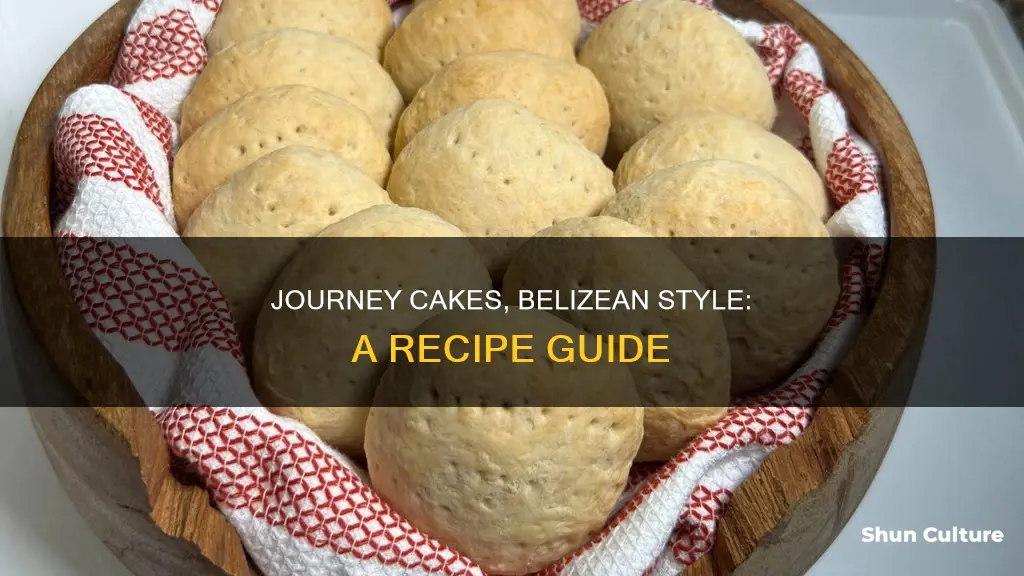 how to make belizean journey cakes