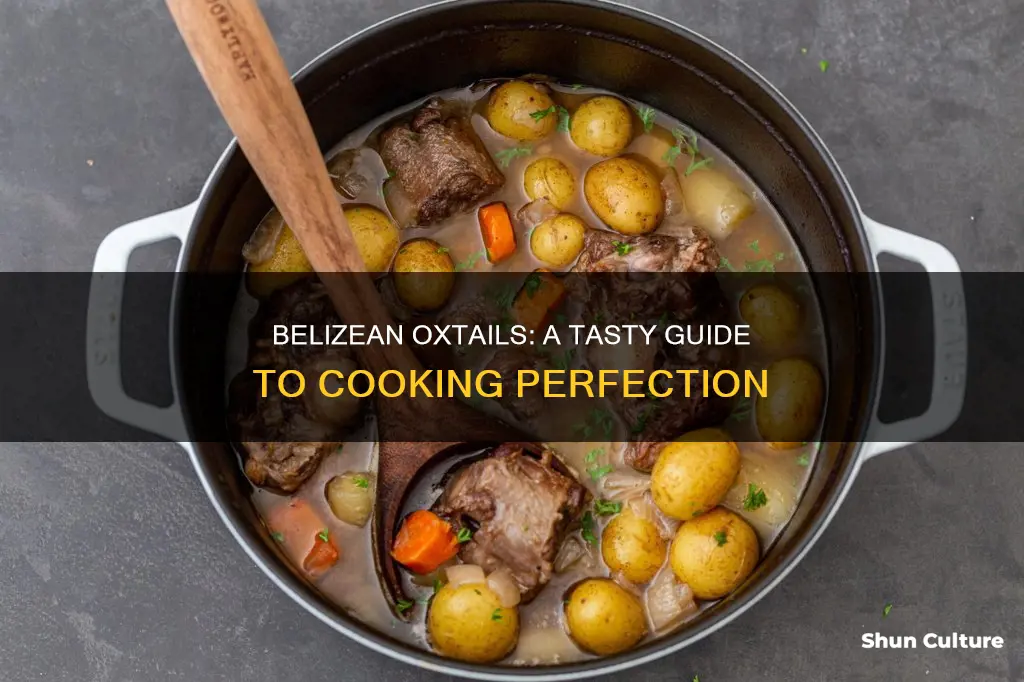 how to make belizean oxtails