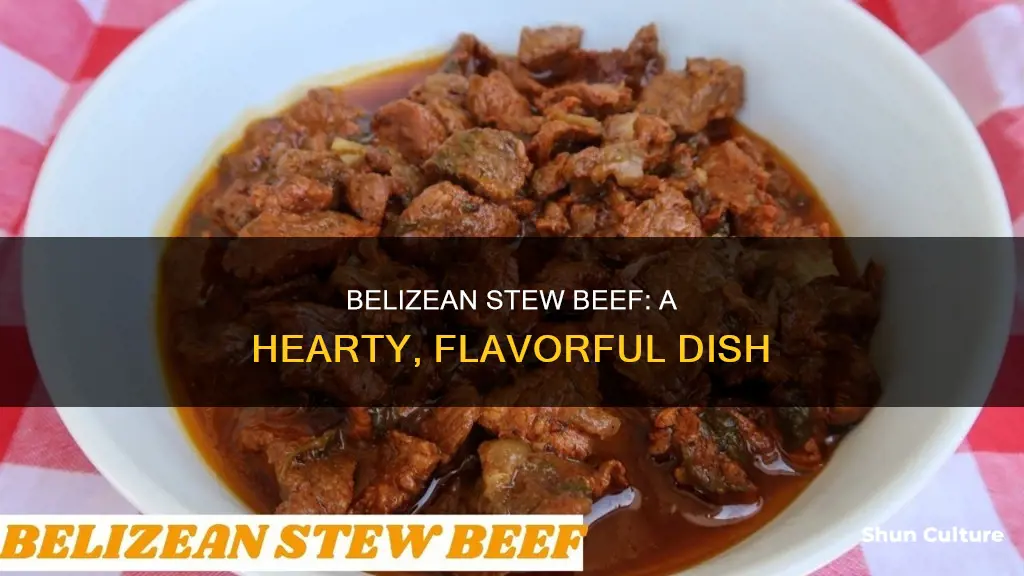 how to make belizean stew beef