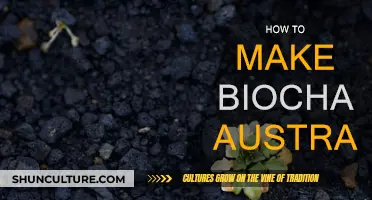 Making Biochar in Australia: A Guide