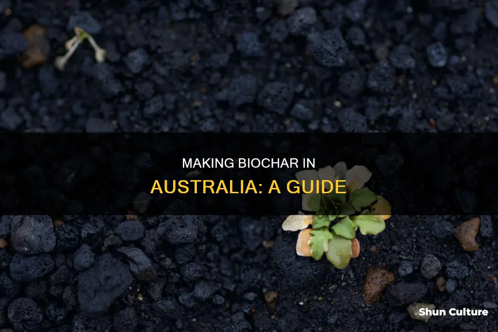 how to make biochar australia