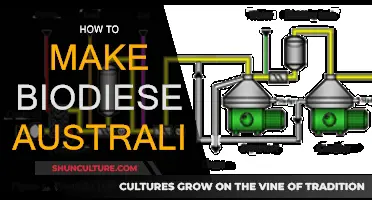 Making Biodiesel in Australia: A Guide