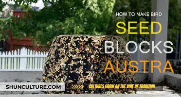 Creating Bird Seed Blocks: A Guide for Australians