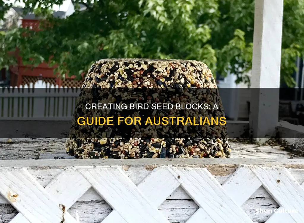 how to make bird seed blocks australia
