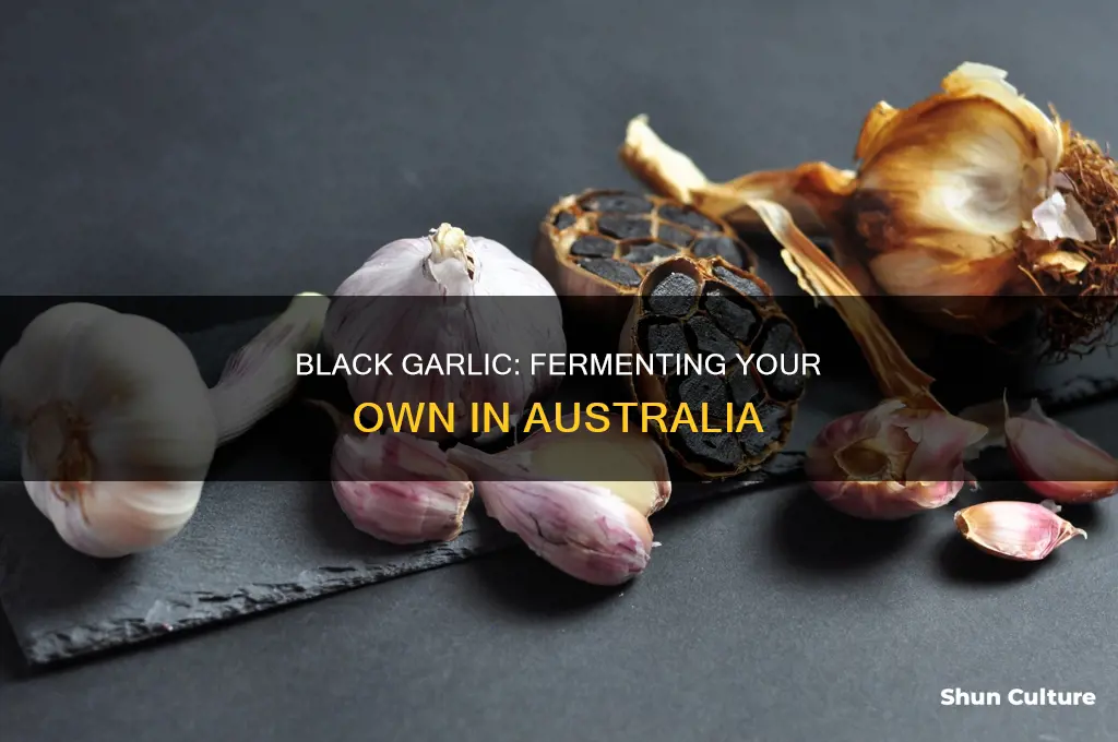 how to make black garlic australia