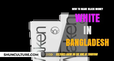Legal Strategies to Convert Black Money into White in Bangladesh